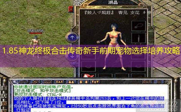 1.85神龙终极合击传奇新手前期宠物选择培养攻略