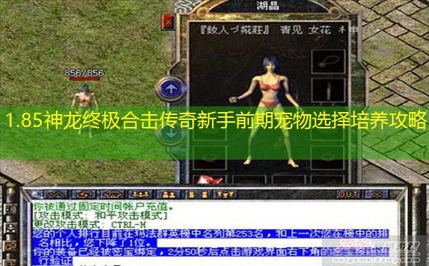1.85神龙终极合击传奇新手前期宠物选择培养攻略 1.85神龙终极合击传奇新手前期宠物选择培养攻略
