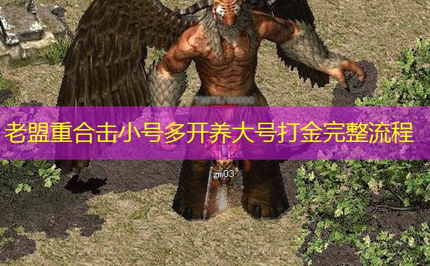 老盟重合击小号多开养大号打金完整流程