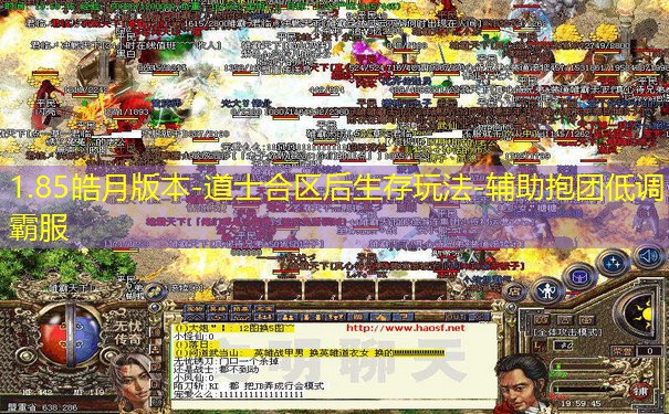 1.85皓月版本-道士合区后生存玩法-辅助抱团低调霸服