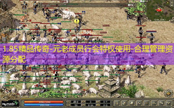 1.85精品传奇-元老成员行会特权使用-合理管理资源分配