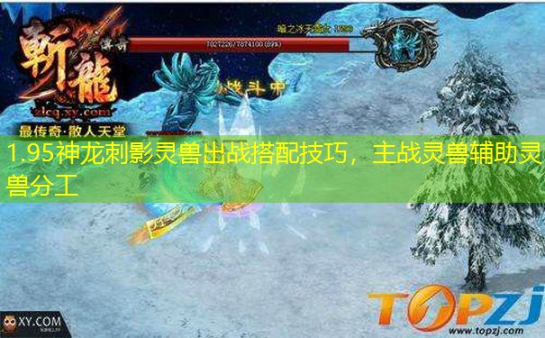 1.95神龙刺影灵兽出战搭配技巧，主战灵兽辅助灵兽分工