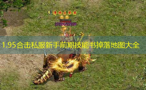 1.95合击私服新手前期技能书掉落地图大全
