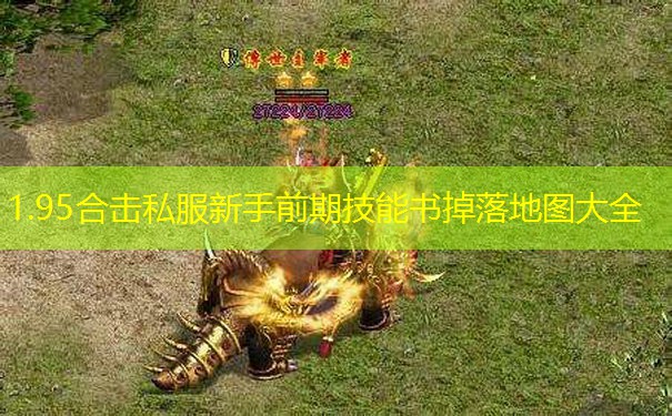 1.95合击私服新手前期技能书掉落地图大全