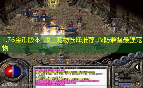 1.76金币版本-战士宠物选择推荐-攻防兼备最强宠物
