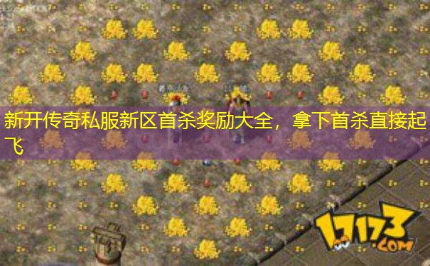 新开传奇私服新区首杀奖励大全，拿下首杀直接起飞