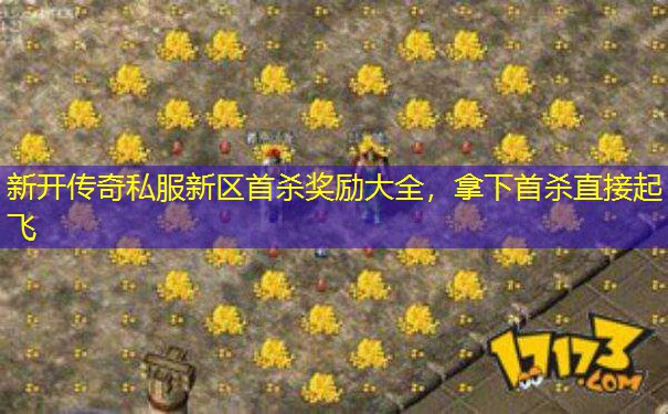 新开传奇私服新区首杀奖励大全,拿下首杀直接起飞 新开传奇私服新区首杀奖励大全,拿下首杀直接起飞