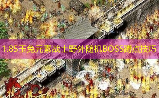 1.85玉兔元素战士野外随机BOSS蹲点技巧