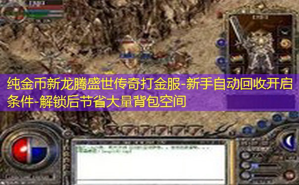 纯金币新龙腾盛世传奇打金服-新手自动回收开启条件-解锁后节省大量背包空间