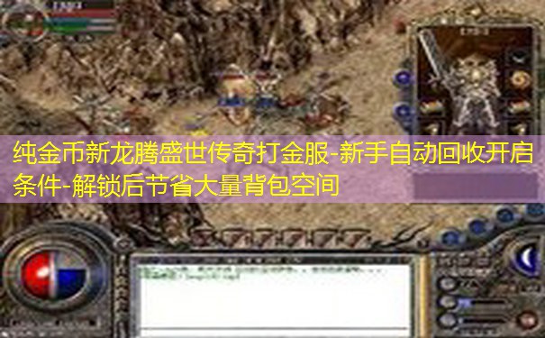 纯金币新龙腾盛世传奇打金服-新手自动回收开启条件-解锁后节省大量背包空间