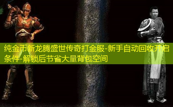 纯金币新龙腾盛世传奇打金服-新手自动回收开启条件-解锁后节省大量背包空间