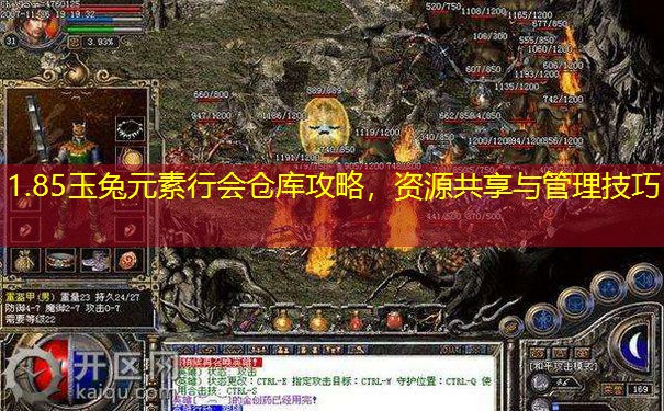 1.85玉兔元素行会仓库攻略，资源共享与管理技巧