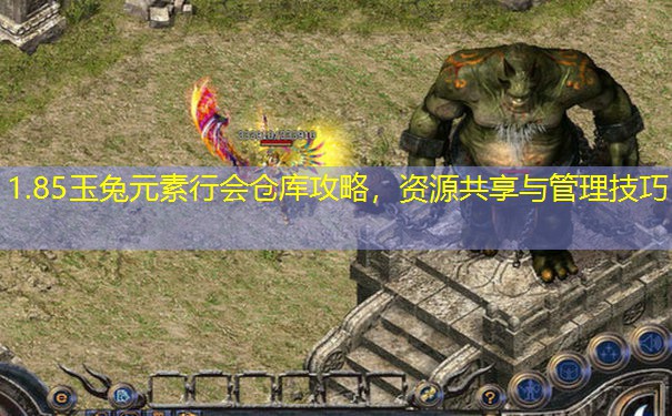 1.85玉兔元素行会仓库攻略，资源共享与管理技巧