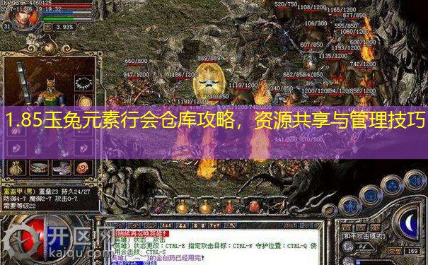 1.85玉兔元素行会仓库攻略，资源共享与管理技巧