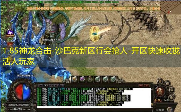 1.85神龙合击-沙巴克新区行会抢人-开区快速收拢活人玩家