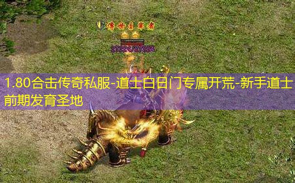 1.80合击传奇私服-道士白日门专属开荒-新手道士前期发育圣地