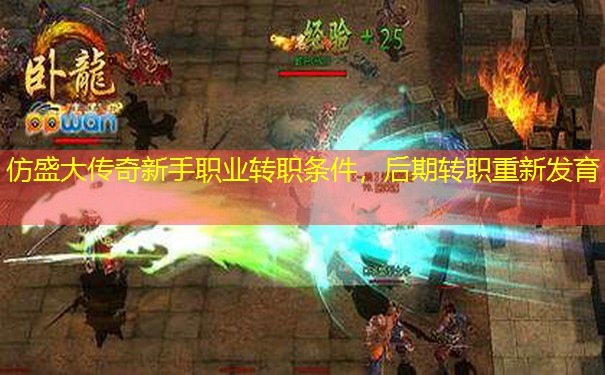 仿盛大传奇新手职业转职条件，后期转职重新发育