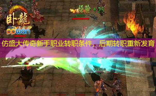仿盛大传奇新手职业转职条件，后期转职重新发育